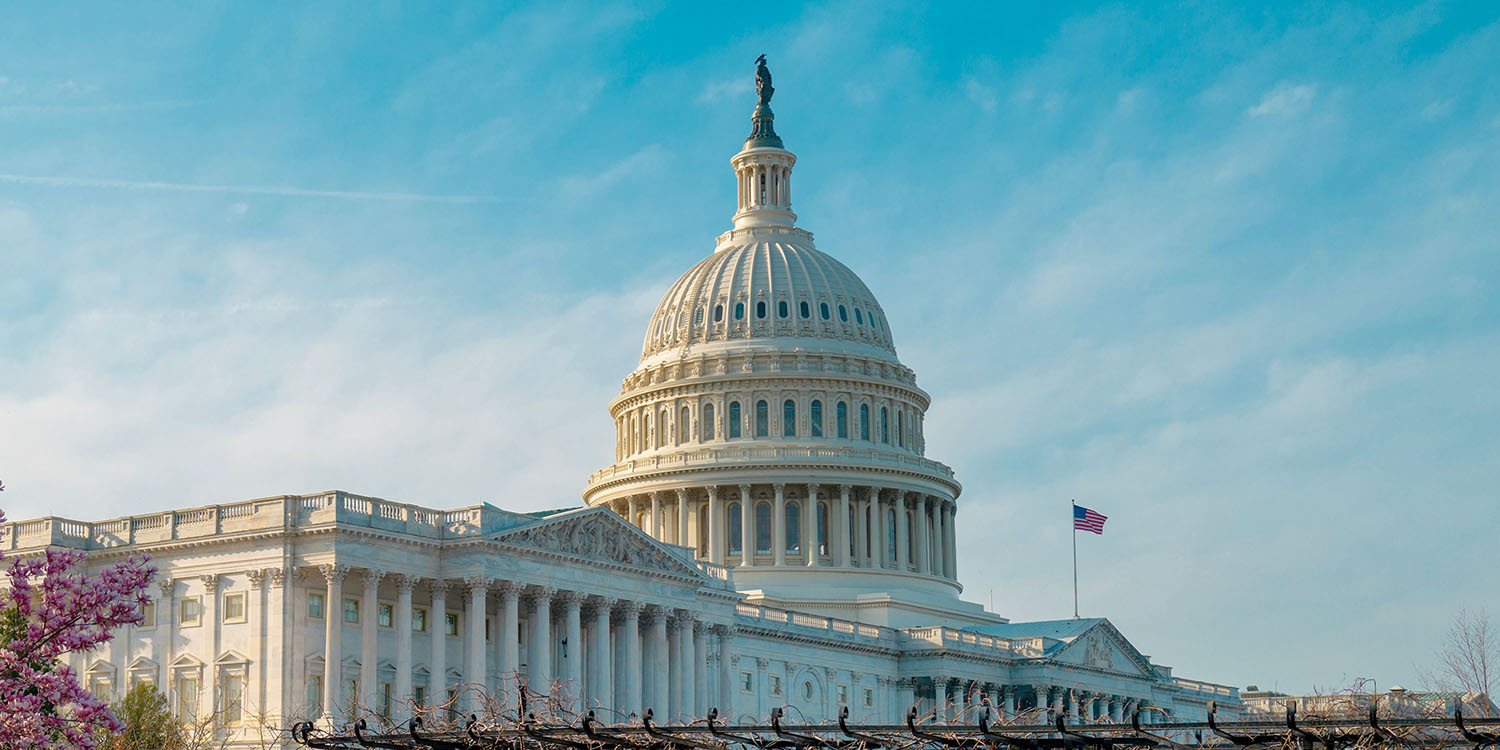 Capitol,Building,Near,Spring,Blossom,Magnolia,Tree.,Us,National,Capitol