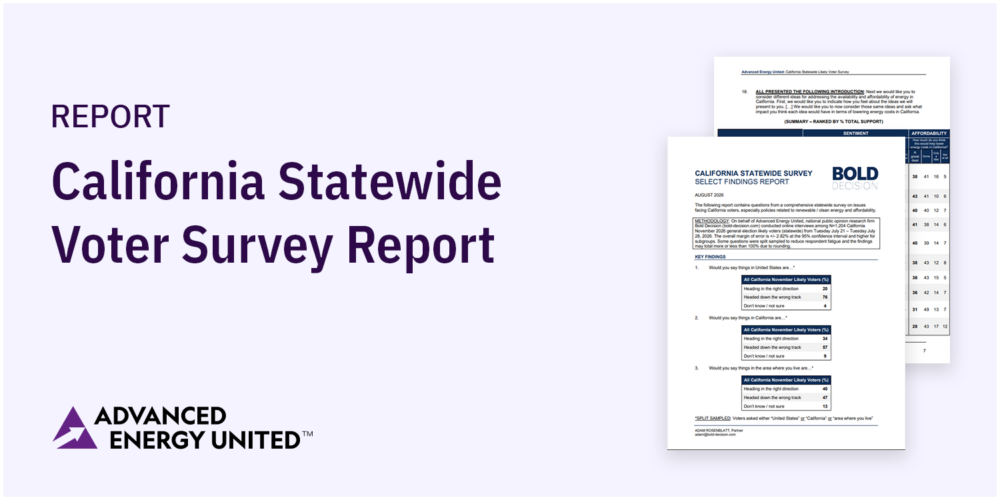 CA Statewide Voter Survey Report